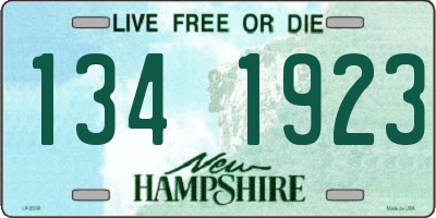 NH license plate 1341923