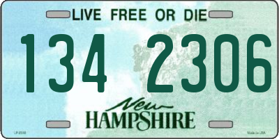 NH license plate 1342306