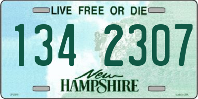 NH license plate 1342307