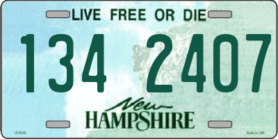 NH license plate 1342407