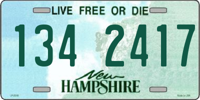 NH license plate 1342417