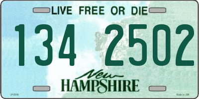 NH license plate 1342502