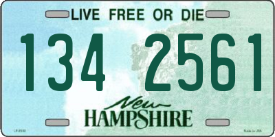 NH license plate 1342561