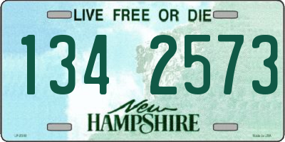 NH license plate 1342573