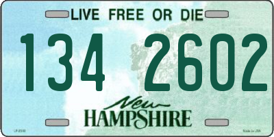 NH license plate 1342602