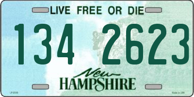NH license plate 1342623