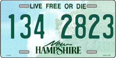 NH license plate 1342823
