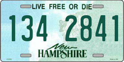 NH license plate 1342841