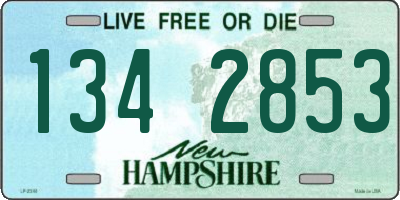 NH license plate 1342853