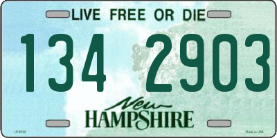 NH license plate 1342903