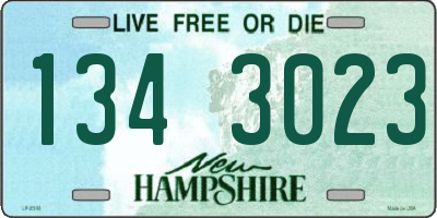 NH license plate 1343023