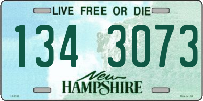 NH license plate 1343073