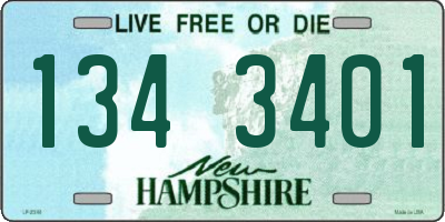 NH license plate 1343401