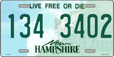 NH license plate 1343402
