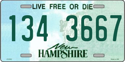 NH license plate 1343667
