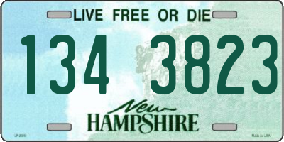 NH license plate 1343823