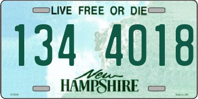 NH license plate 1344018