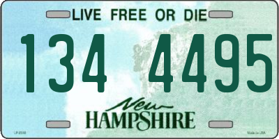 NH license plate 1344495