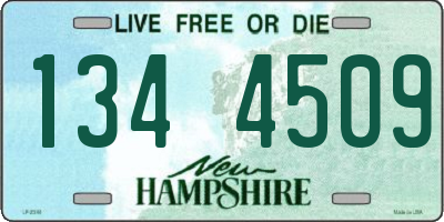 NH license plate 1344509
