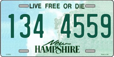 NH license plate 1344559