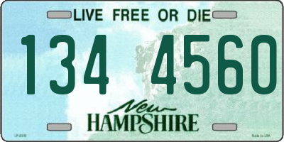 NH license plate 1344560