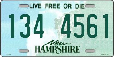 NH license plate 1344561