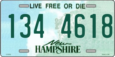 NH license plate 1344618