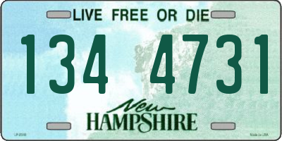 NH license plate 1344731