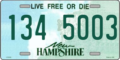 NH license plate 1345003