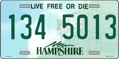 NH license plate 1345013