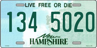NH license plate 1345020