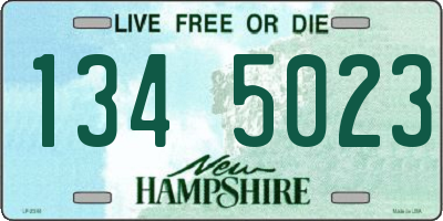 NH license plate 1345023