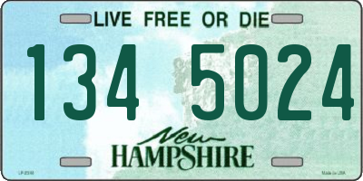 NH license plate 1345024