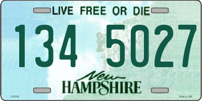 NH license plate 1345027