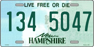 NH license plate 1345047