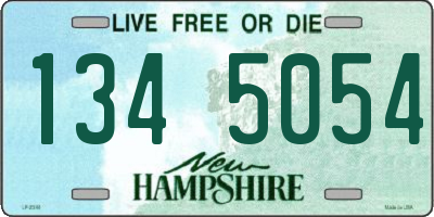 NH license plate 1345054