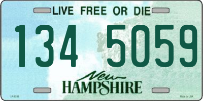 NH license plate 1345059