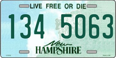 NH license plate 1345063