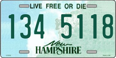 NH license plate 1345118