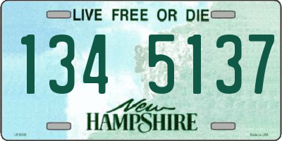 NH license plate 1345137