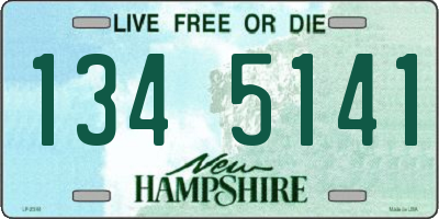 NH license plate 1345141
