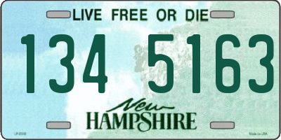 NH license plate 1345163