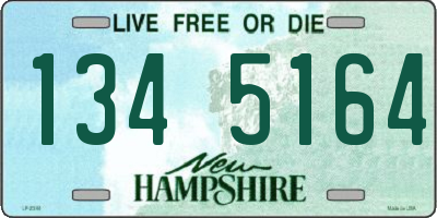NH license plate 1345164
