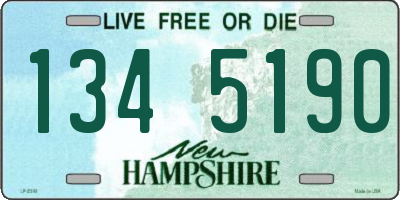 NH license plate 1345190