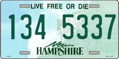 NH license plate 1345337