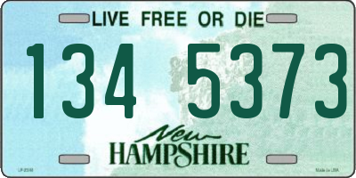 NH license plate 1345373