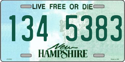 NH license plate 1345383