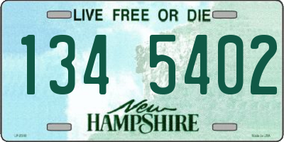 NH license plate 1345402