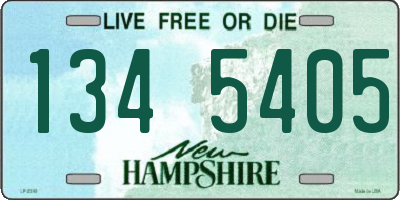 NH license plate 1345405