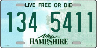 NH license plate 1345411